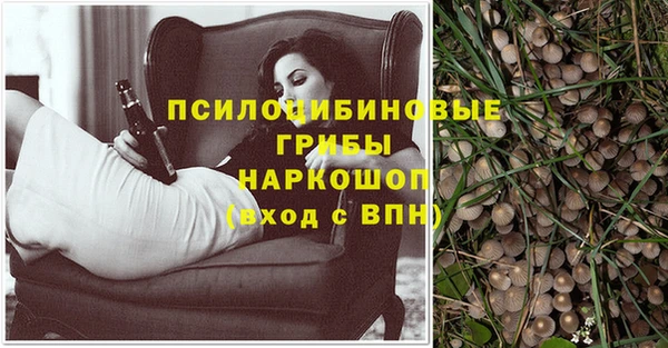 ПСИЛОЦИБИНОВЫЕ ГРИБЫ Волосово