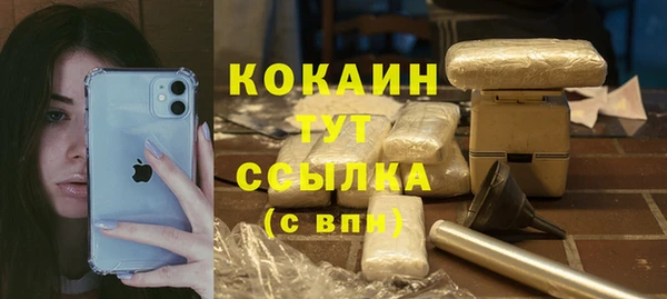 ПСИЛОЦИБИНОВЫЕ ГРИБЫ Волосово