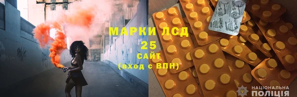 ПСИЛОЦИБИНОВЫЕ ГРИБЫ Волосово