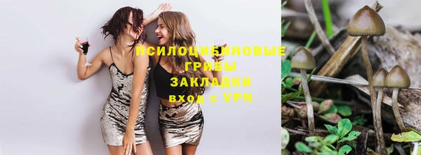 хмурый Волоколамск
